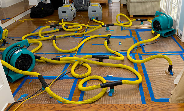Professional Water Extraction technician working in Clinton, IL